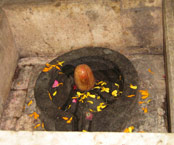 Ujjain Shivalingam
