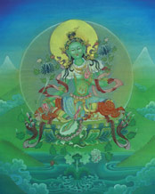 Tara